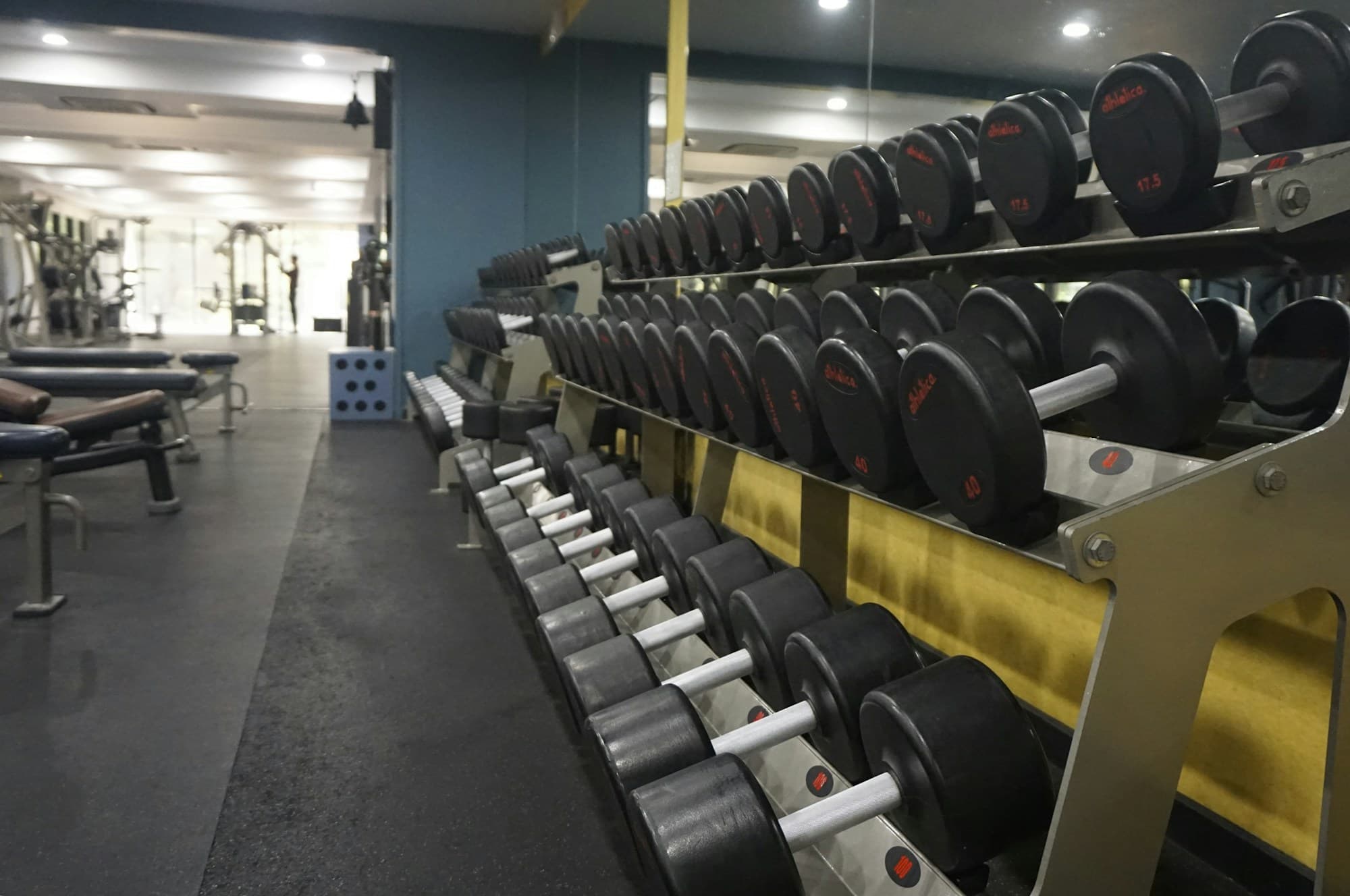 Rack de mancuernas en un gimnasio