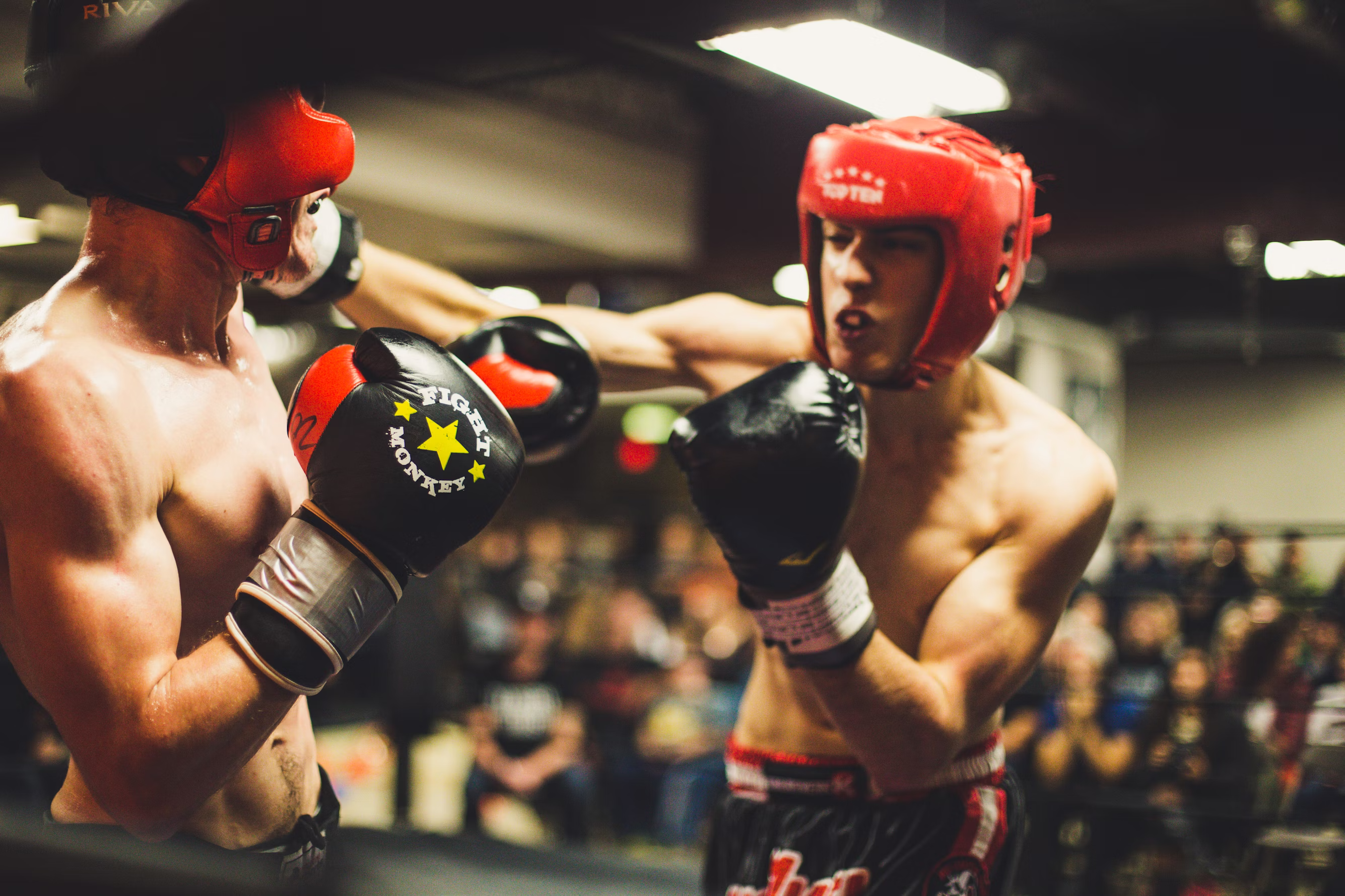Boxeo y MMA